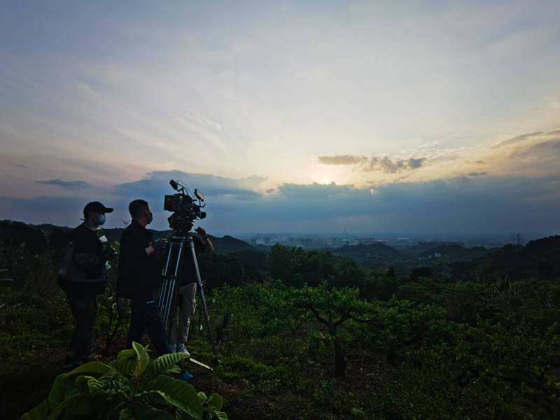 聚焦宾县产品宣传视频拍摄公司，用专业实力铸就品牌传播传奇