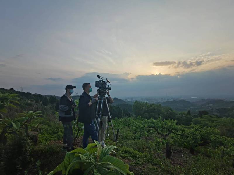 创意破圈！宾县电商产品宣传视频用故事化叙事引爆流量