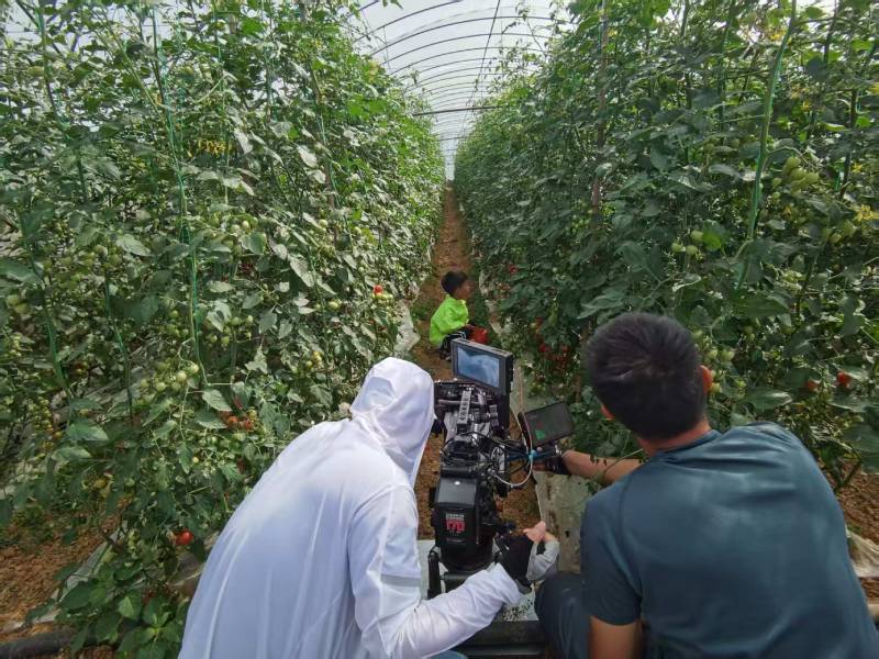 宾县产品宣传视频拍摄公司进阶指南，助力品牌抢占传播高地